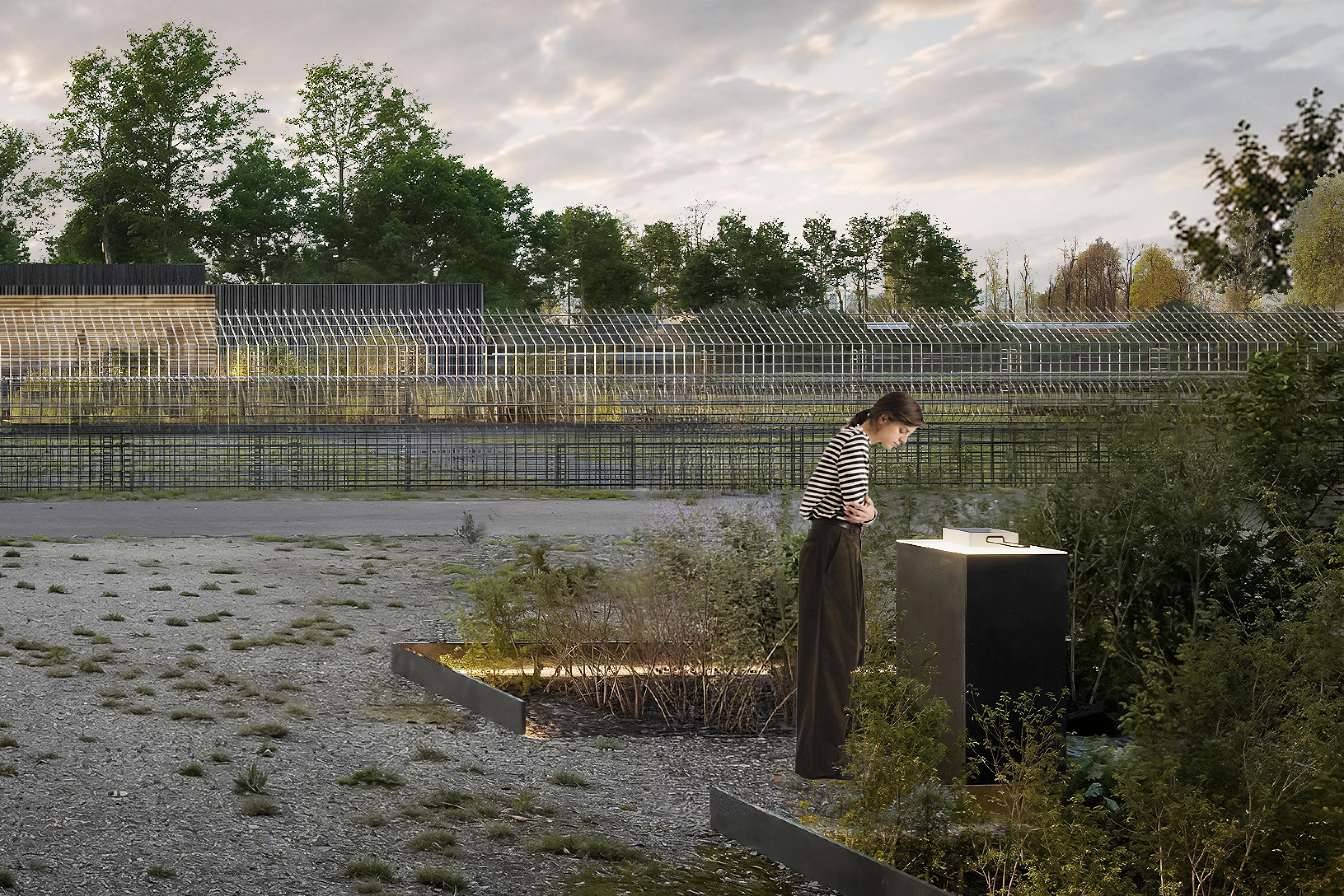 Visualization of Lost Elements, an outdoor exhibition area at the future Stalag 326 Memorial. A visitor interacts with an illuminated interpretation station set within the footprint of a former barrack, while natural vegetation and reinterpreted camp fences make the site's historical structure visible.