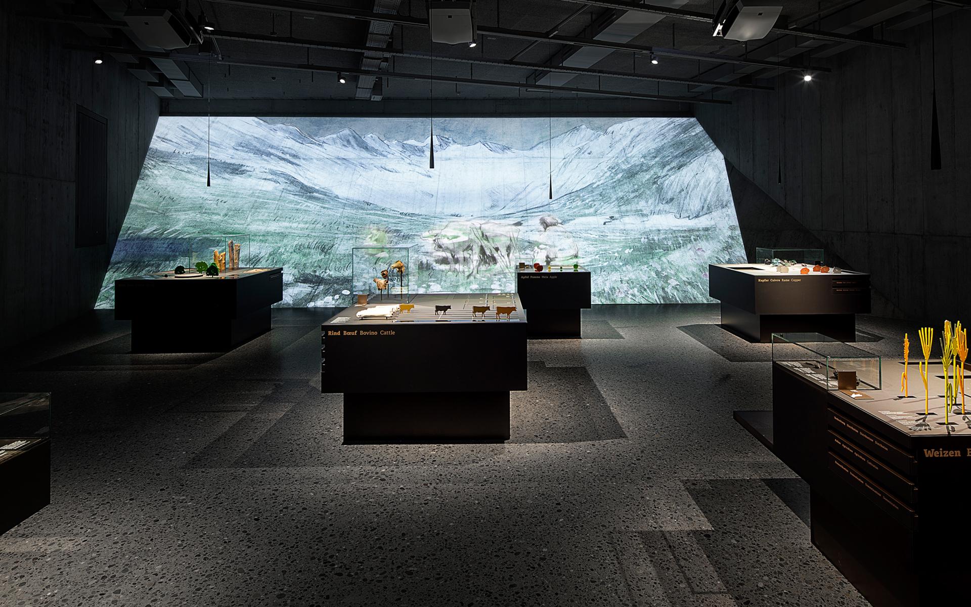 Archäologie Schweiz – Schweizerisches Nationalmuseum